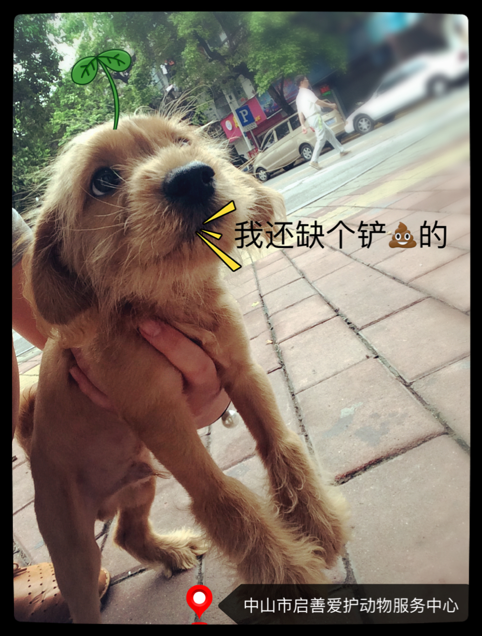 啦啦