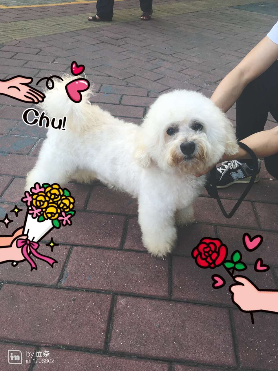 QQ图片20160508135903.jpg
