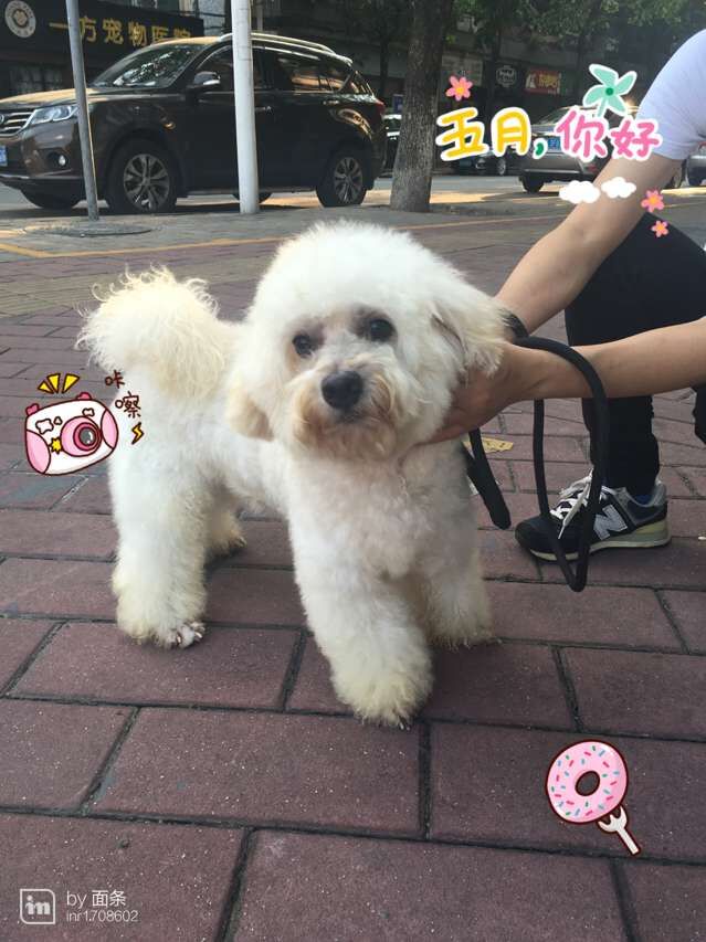 QQ图片20160508135919.jpg