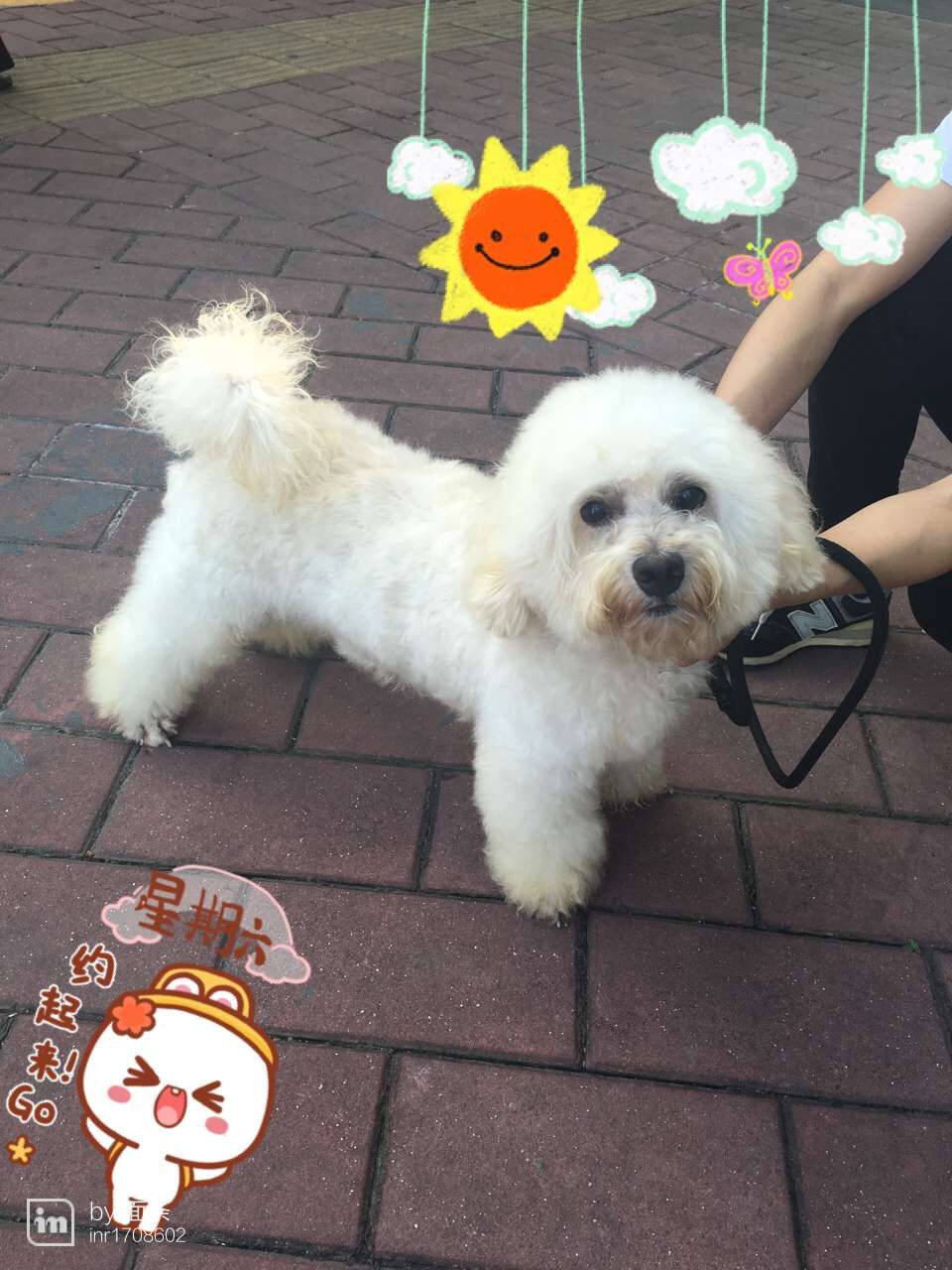 QQ图片20160508140231.jpg
