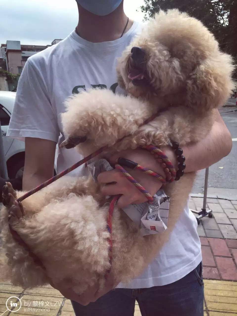 QQ图片20160508140935.jpg