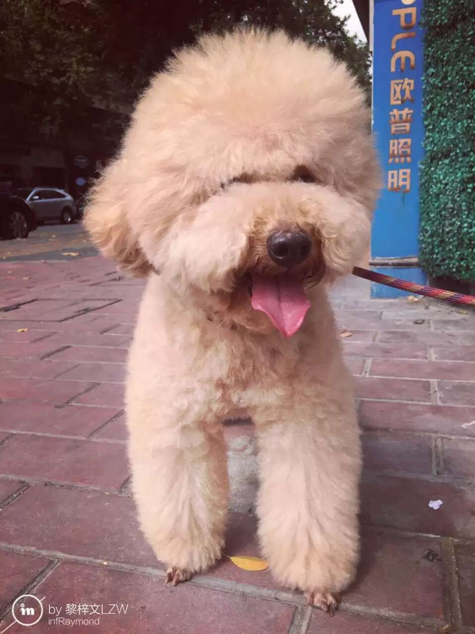 QQ图片20160508140940.jpg