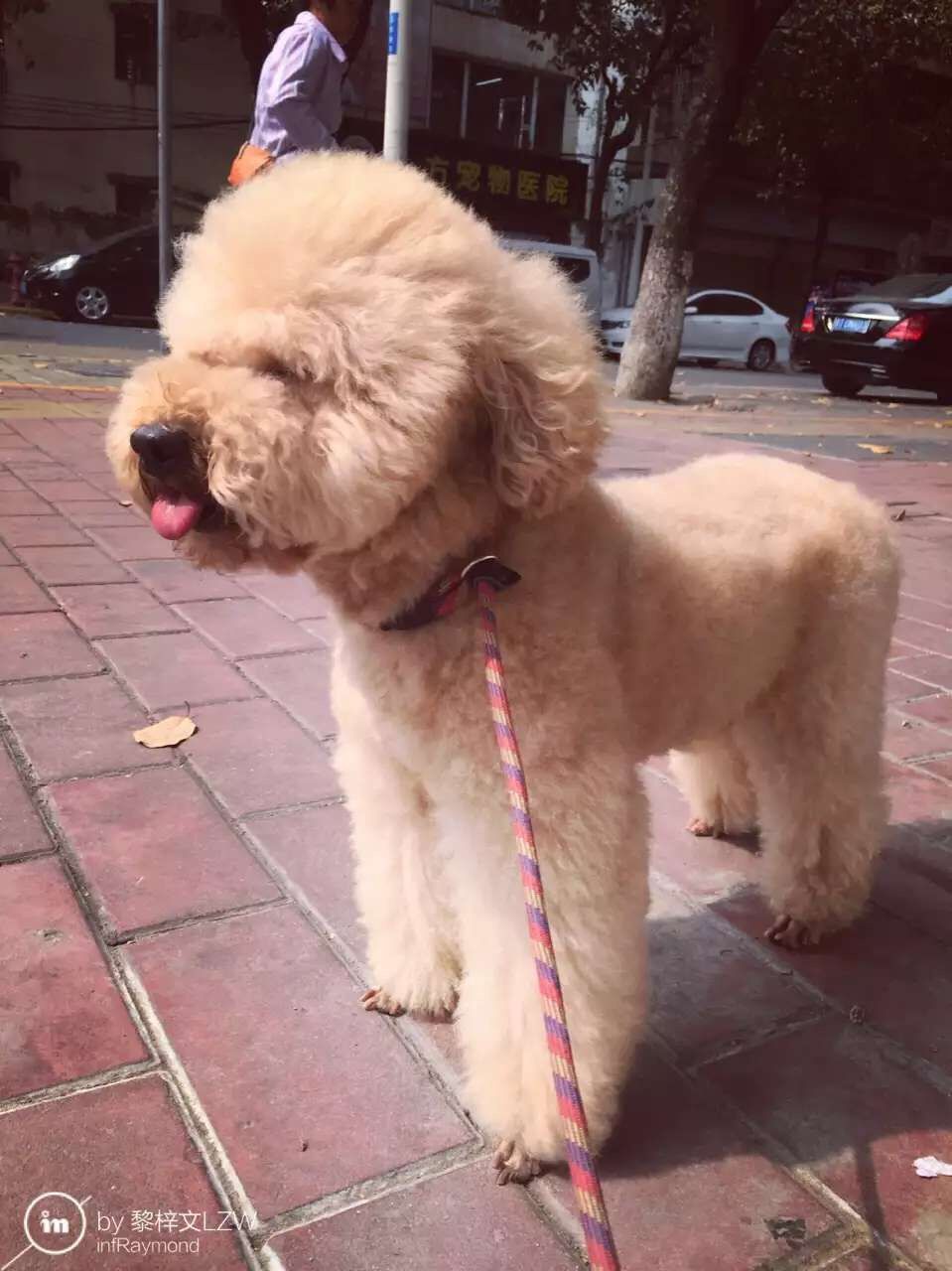 QQ图片20160508140946.jpg