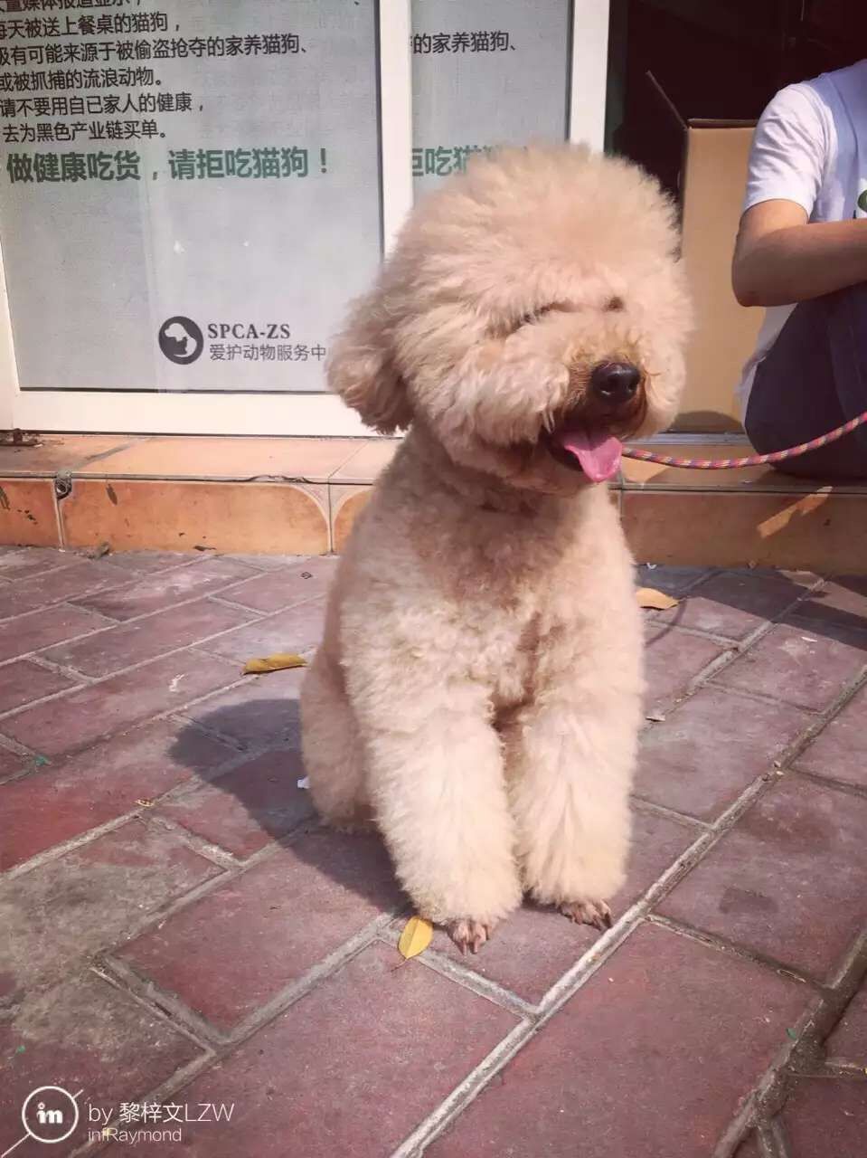 QQ图片20160508140950.jpg