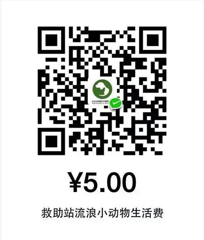 223700mzo9toxnox4f9crp.jpg.thumb.jpg