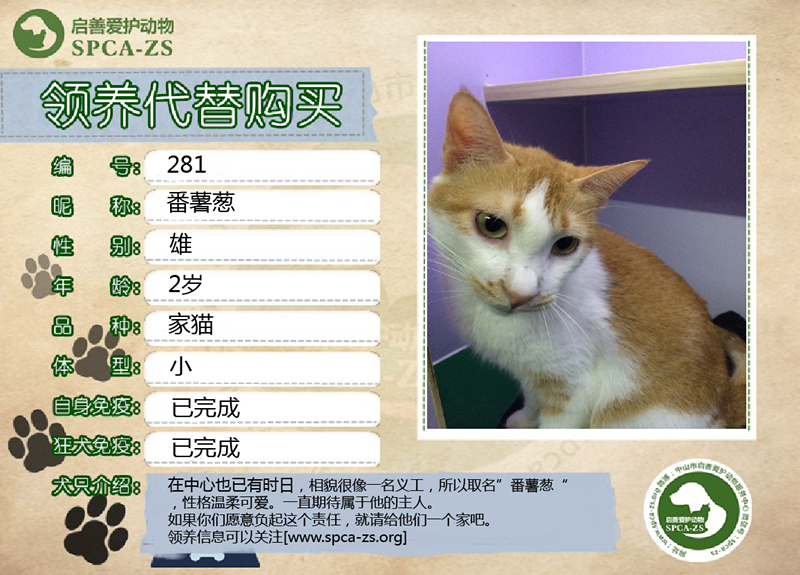 番薯葱_副本.jpg