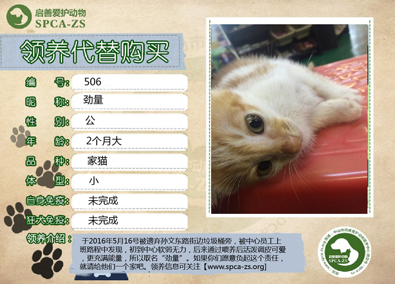 新猫狗模板_副本1.jpg