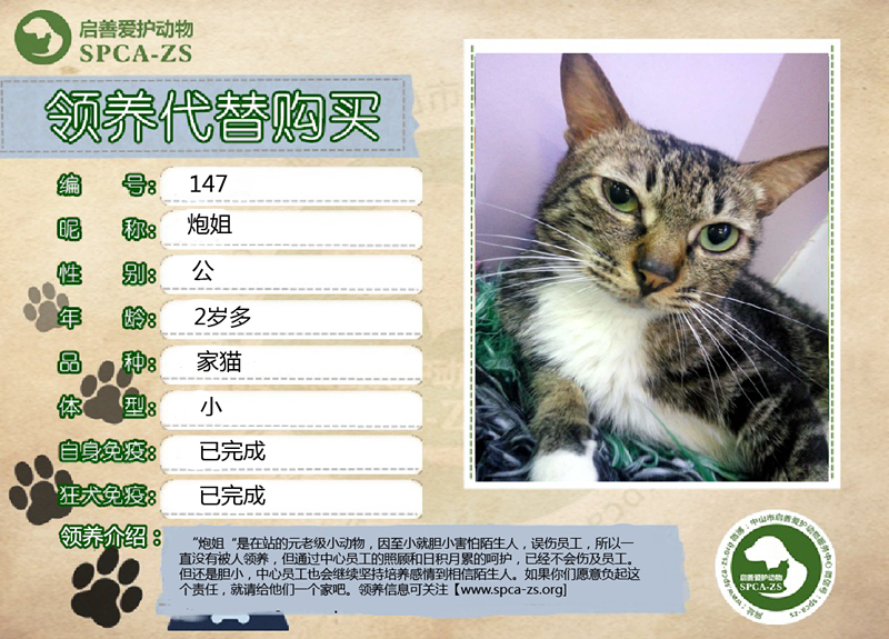 新猫狗模板炮姐_副本.jpg