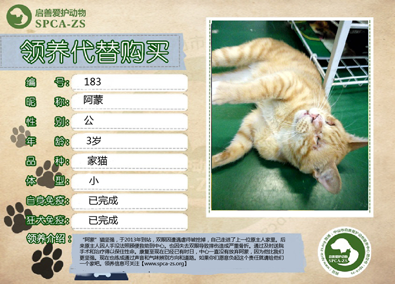 阿蒙_副本2_副本2.jpg