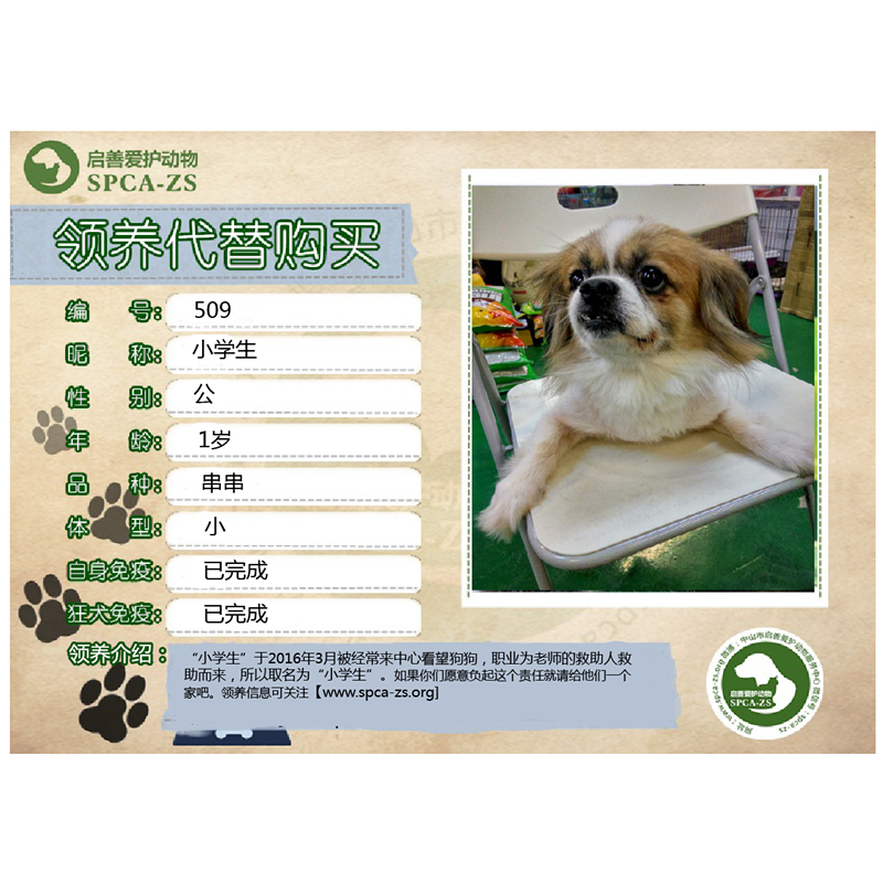 小学生-01_副本.jpg