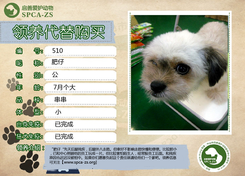 肥仔_副本.jpg