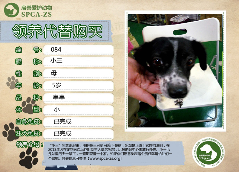 小三_副本.jpg