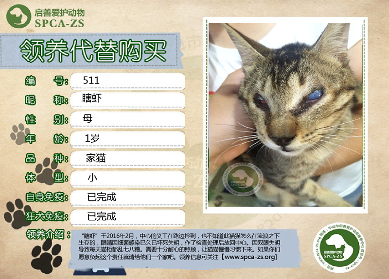 瞎虾_副本.jpg