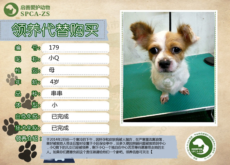 小Qq_副本.jpg