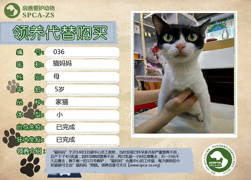猫妈妈_副本.jpg