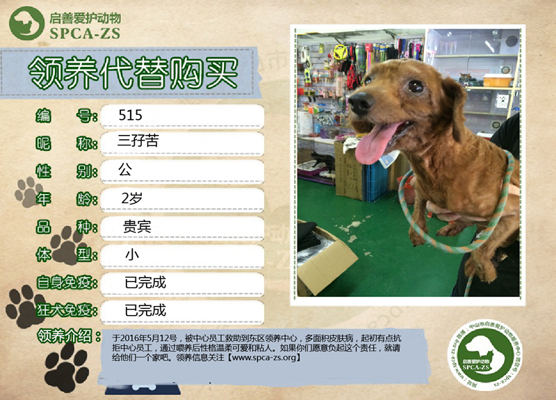 三孖苦_副本.jpg