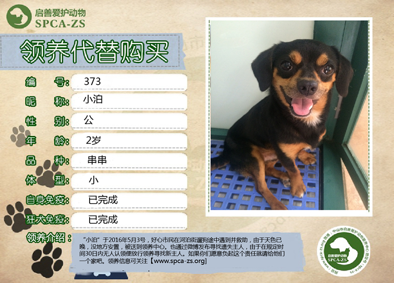 373_副本.jpg