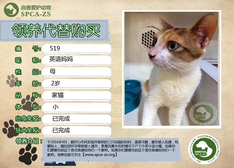 英语妈妈_副本.jpg
