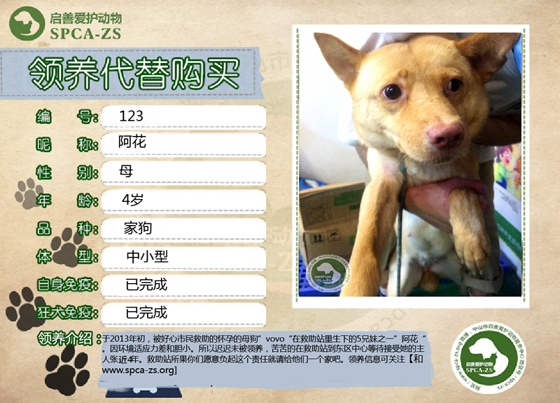 123_副本.jpg