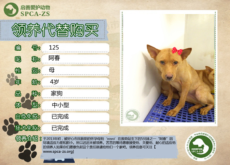 阿春2_副本.jpg