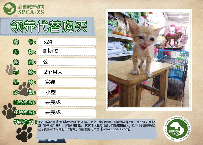 524_副本.jpg