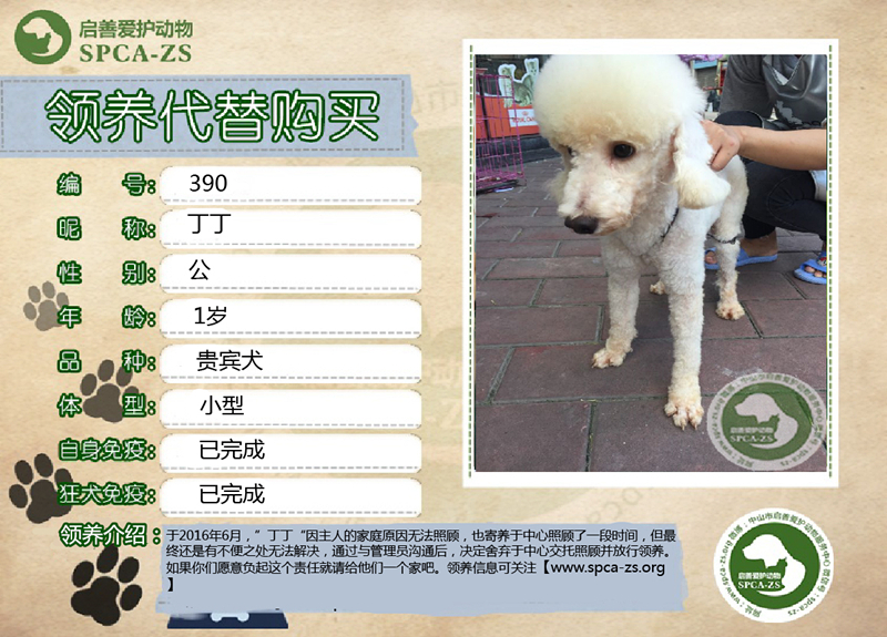 dingd_副本.jpg