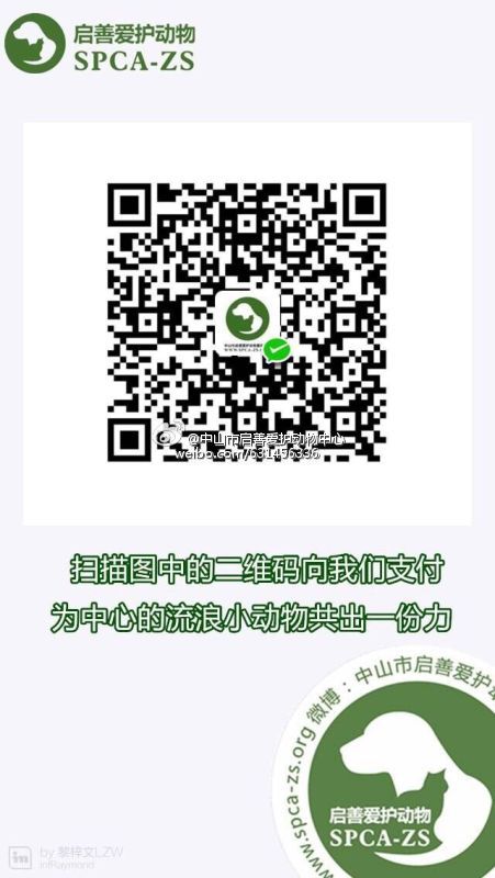 702c251agw1f4do6ubf52j20cj0m8myb.jpg