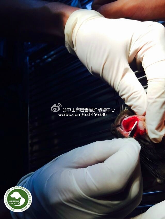 702c251agw1f5iz92r05uj20hs0noac6.jpg