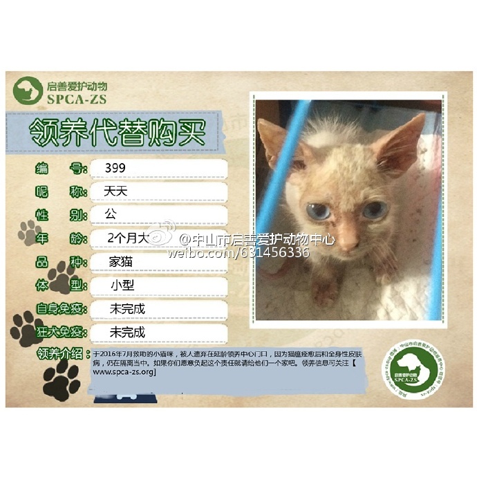 702c251agw1f77gdpikv5j20m80m80xn.jpg