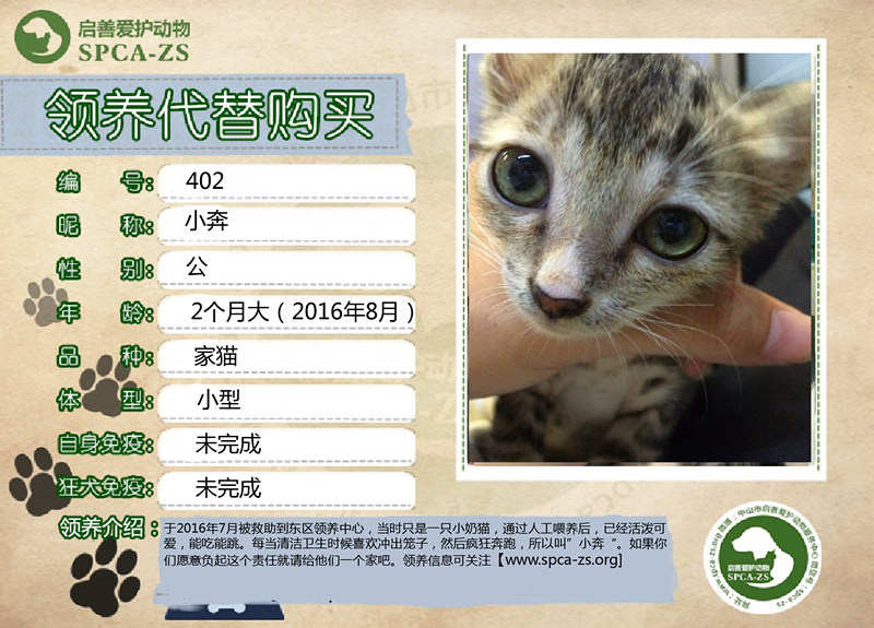 小奔_副本.jpg