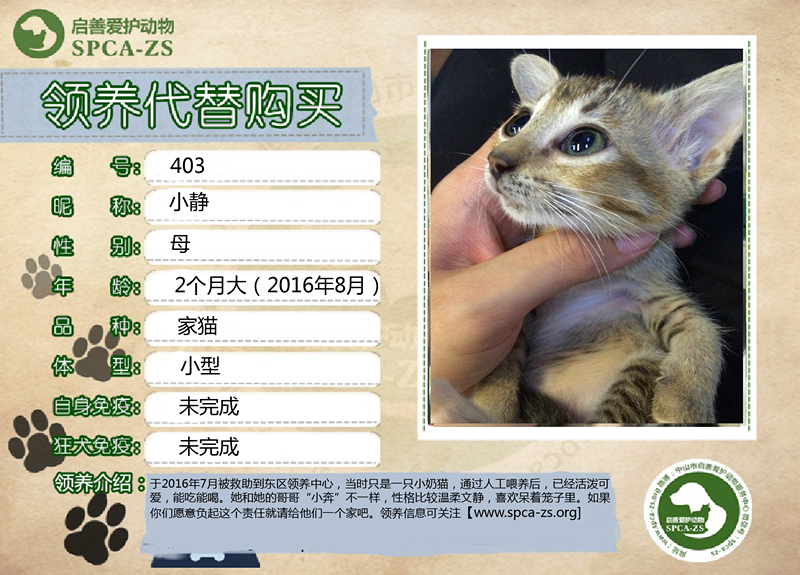 小静_副本.jpg