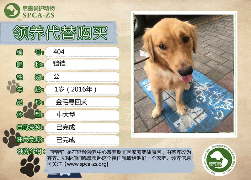 铛铛-01_副本.jpg