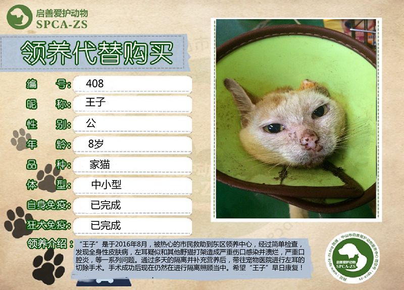王子_副本.jpg