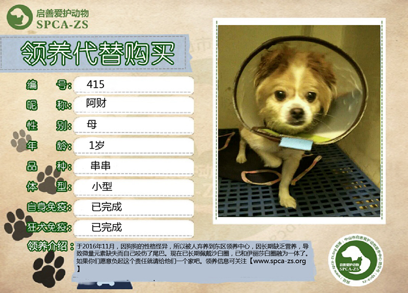 阿财_副本.jpg