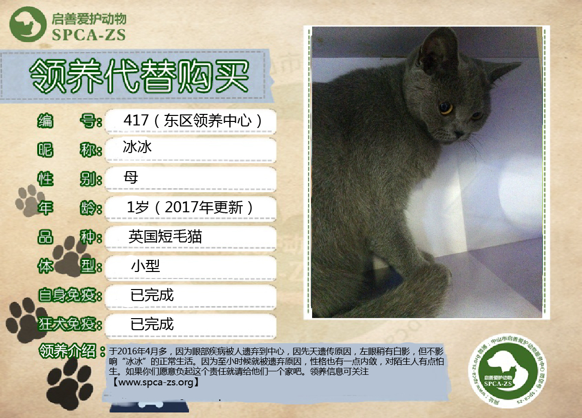 冰冰.jpg