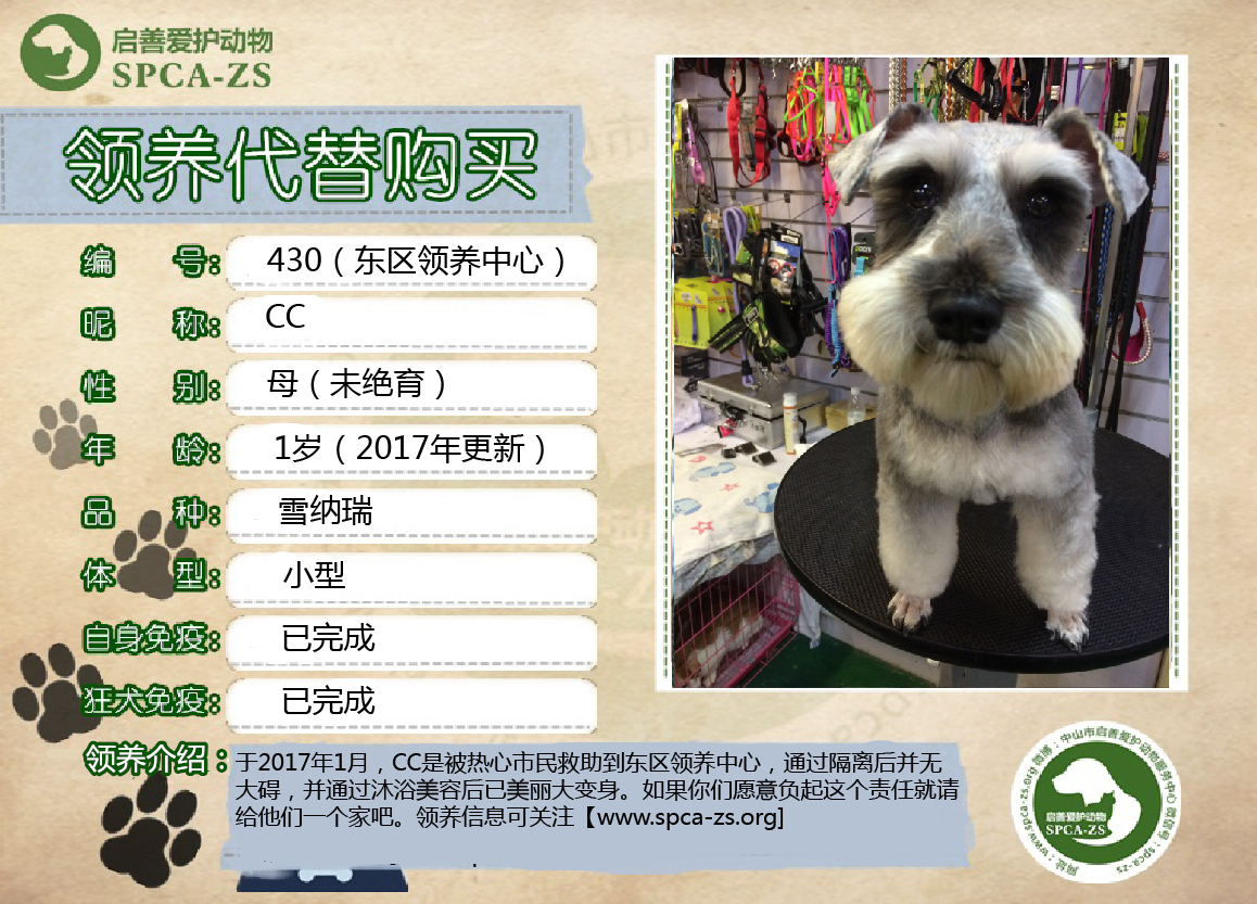 雪纳瑞-01.jpg