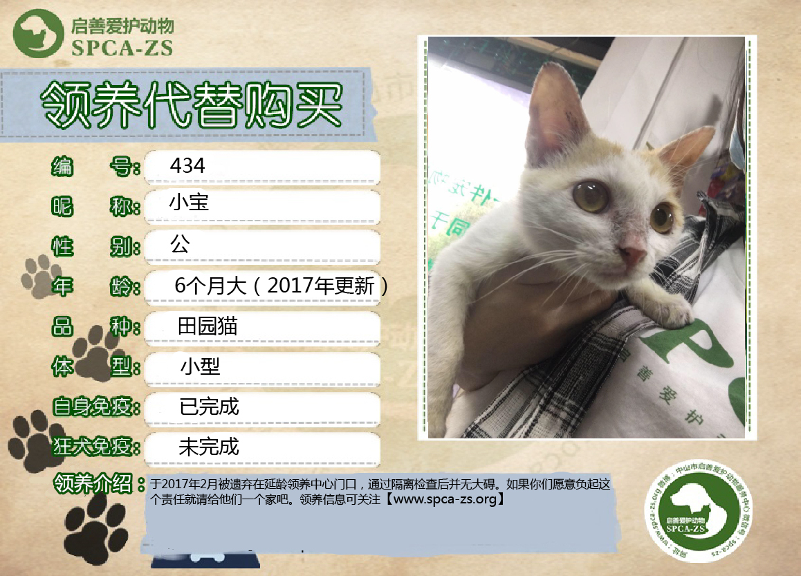 小宝.jpg