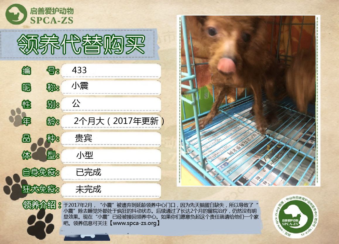 小震.jpg