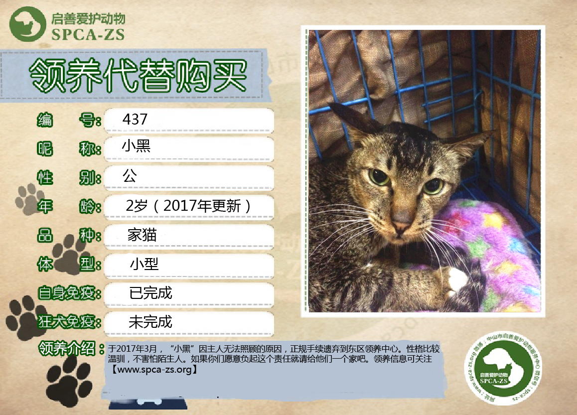 小黑.jpg