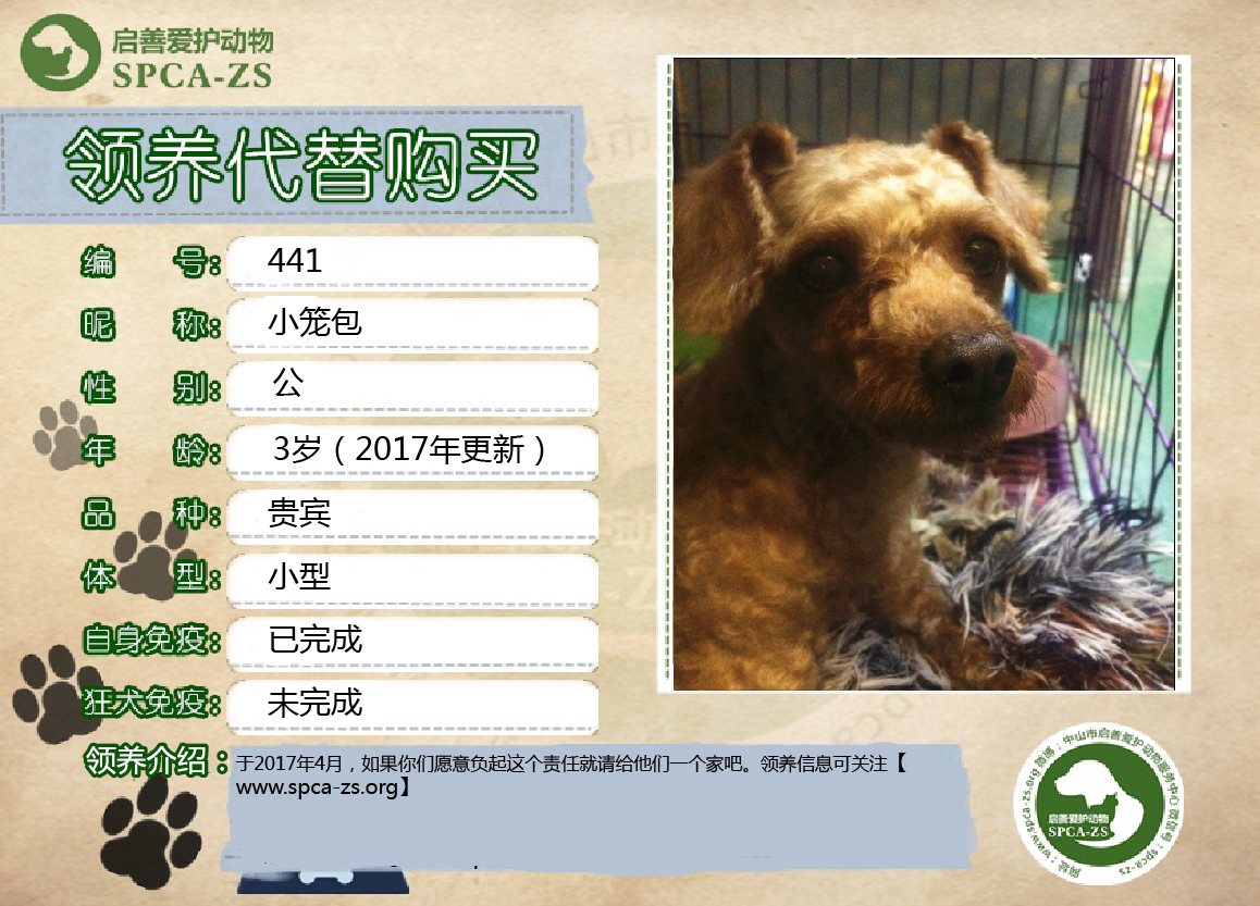 喜爱龙.jpg