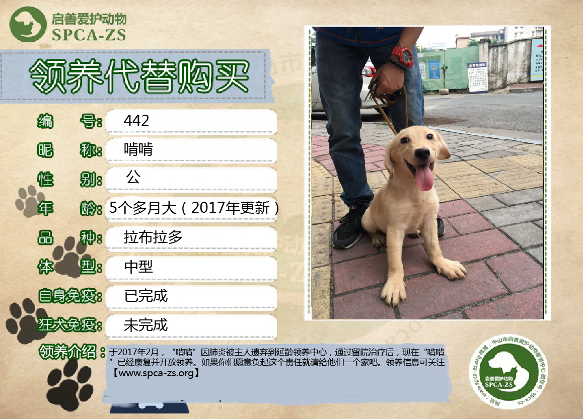 花呗.jpg