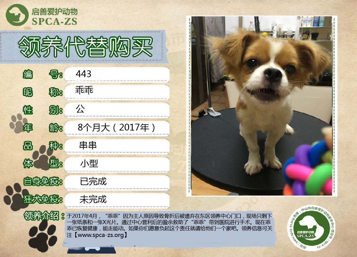 乖乖.jpg