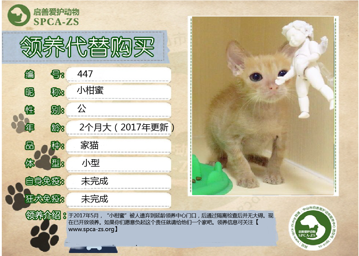 新猫狗模板-01_副本.jpg