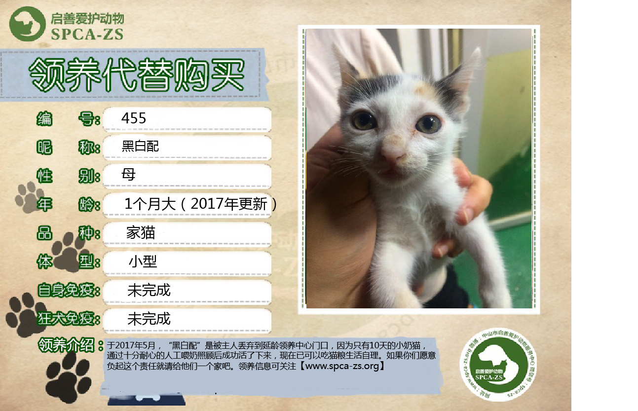 黑白配.jpg