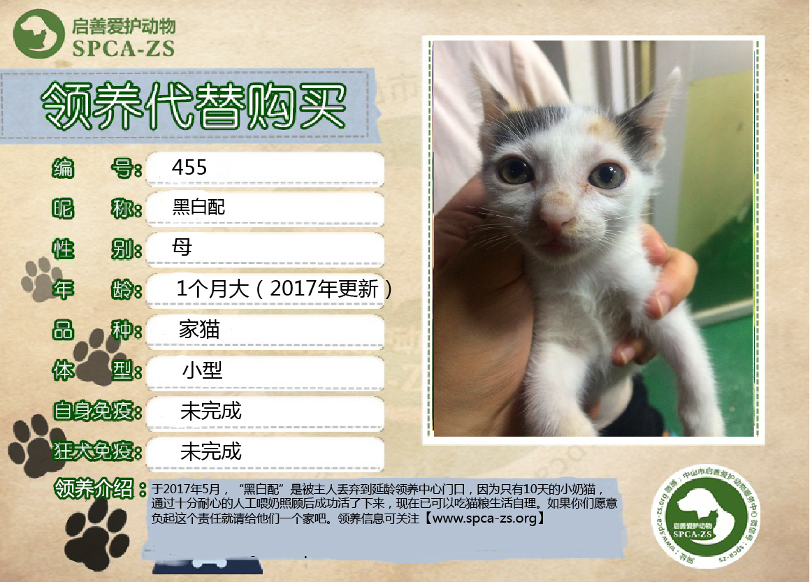 黑白配_副本.jpg
