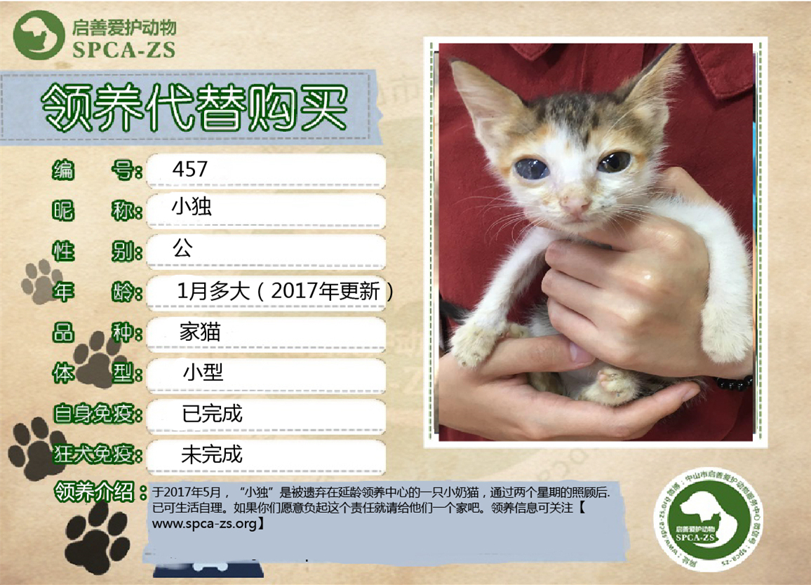小杜_副本.jpg
