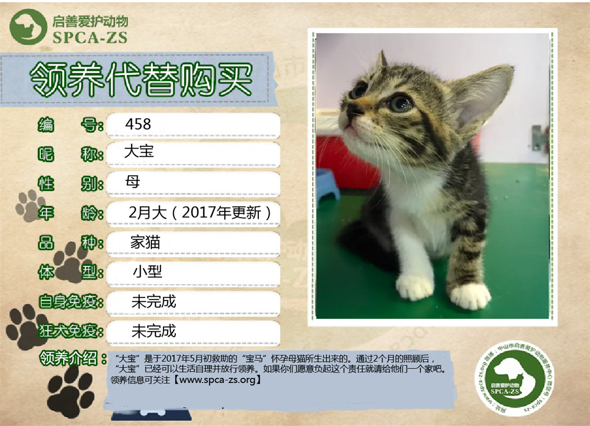 大宝_副本.jpg