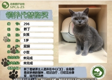 296号——蓝猫妈（隔离）