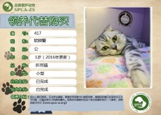 417号---软脚蟹（喵星人）已被领养