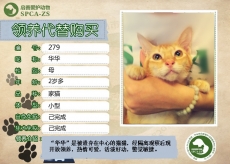 279号——华华（喵星人）